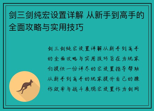 剑三剑纯宏设置详解 从新手到高手的全面攻略与实用技巧 剑三剑纯宏设置详解 从新手到高手的全面攻略与实用技巧